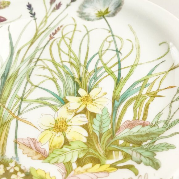PILLIVUYT France Molling Porcelain Virginie Side Plates Set Of 2 7.75" Botanical - Picture 6 of 12